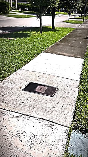 Sidewalks So Clean, They Shine! ✨ Bring back the bright, fresh look of your walkway with our professional sidewalk cleaning service! 🌤️ Using safe pressure washing and surface cleaners, we remove dirt, gum, mold, and years of buildup — making your property look brand new again. Perfect for residential and commercial properties across South Florida 🏡🏢 📞 Call or text 305-767-5077 for a free estimate today! ✅ Eco-friendly cleaning solutions ✅ Safe for all surfaces ✅ Fast, detailed, and reliable