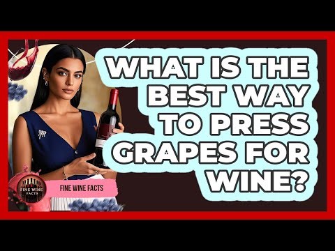 What Is The Best Way To Press Grapes For Wine? - Fine Wine Facts