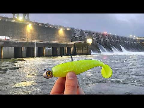 The BEST Striper Fishing Ive EVER Seen!! Non-Stop BIG Fish!!!