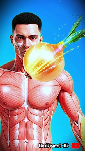 What Happens When You Eat Onion? 😱🤮| 3D Medical Animation Explained #health #anatomy #shorts #fyp