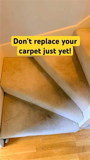 Don’t Replace Your Carpet Until You See This! 😳 | Carpet Cleaning Chichester