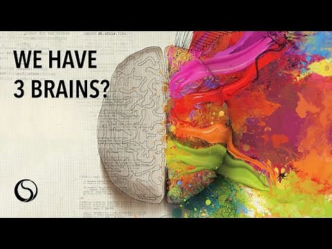 How Complex Is The Human Brain?