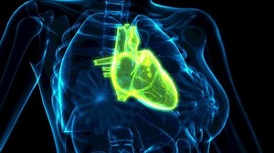 clip-1065008386-medical-3d-animation-human-heart-problems-x-ray