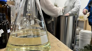 Distillation de sapins au profit d’organismes communautaires