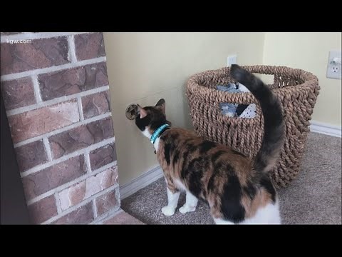 Portland family using BottleDrop program to help pay for kids' college