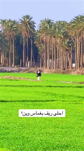 غماس: جاذبية المدينة ونبضها الثقافي