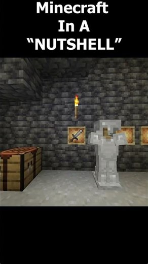 MINECRAFT In a NUTSHELL..........