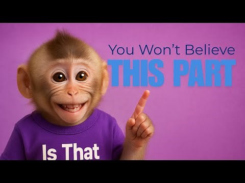 Funniest Baby Monkey Moments Compilation 🐒 | Try Not to Smile Challenge!