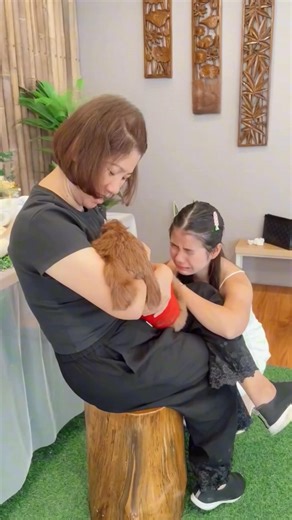 Our Final Goodbye to Lola 🐾