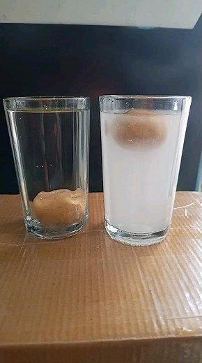 salt water and potato experiment #schoolexperiment #experiment #scienceexperiments