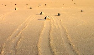 The Mystery of Death Valley's Sliding Rocks, Solved