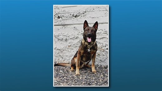 Retired Ada County Sheriff's Office K9 passes away