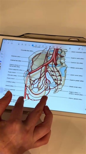 Annotating lecture slides on my iPad using a note-taking #medstudent #mcatscore #medschool