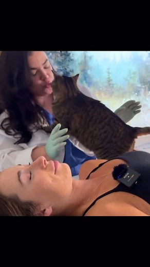 Siesta with Sarah ASMR on Instagram: "Bloopers from my last session with Brittany 🐈‍⬛ 🤣🫣 Don’t worry, she loves the kitties & I always make sure models are ok with cats in their session. #asmr #asmrbloopers #outtakes #catsofinstagram #fail #asmrfail #bloopers #siestawithsarahasmr #reels"