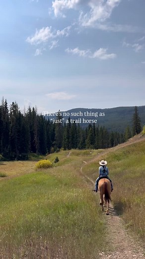 Your trail horse may not have a show schedule… but they work. They...