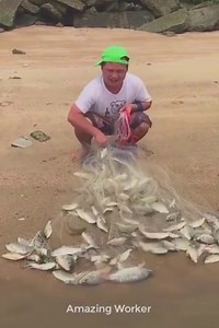 16K views · 96 reactions | Fastest Workers in the world  | Media 4 | Facebook