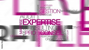 Expertise audit conseil texte fuchsia consultant tag cloud nuage de mots consulting violet texte animation