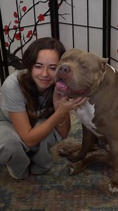 Creed's Spa Day: A Pitbull's Pampering!