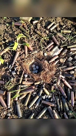 Rare Photos That Will Leave You Speechless! Part 6 | History Lab Archives