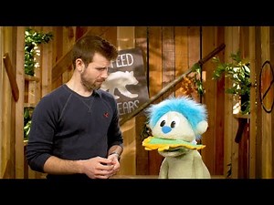 Wildwood Treehouse (The Parable of the Lost Coin)