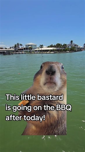 This Dang Groundhog! #Meme #CapCut #trending #groundhogday #fyp