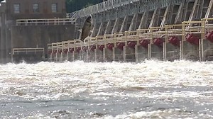 Jumping silver carp keeping DNR crews busy on Mississippi River