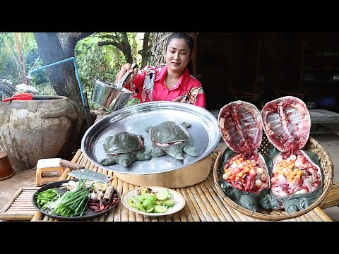 The best country style cook turtle - Yummy turtle recipe