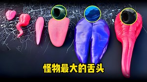 怪物最大的舌头，究竟有多大？