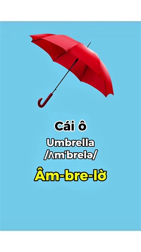 Bài 35: các dụng cụ tùy thời tiết#seavoca #seavocaenglish #tienganhflashcard #foryou #hoctienganh