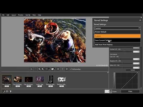 Professional Print & Layout Intermediate Level