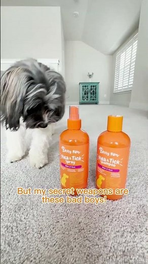 Zesty Paws Flea & Tick Shampoo and Spray