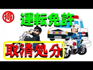 Useful information about driver's license revocation.