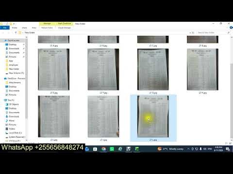 Convert HardCopy Files to Excel using Google AI Studio and Excel
