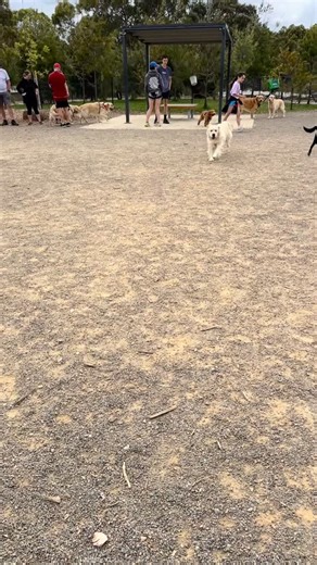 14 reactions · 9 comments | A merry and bright time was had by...