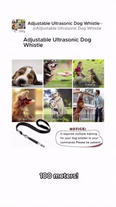 Dog Whistle, 2 Pack Adjustable Ultrasonic Dog Whistle to Stop Barking Neighbors Dog, Recall Training, Professional Ultrasonic Silent Dog Whistle Training to Stop Barking Control Devices, Black Lanyard