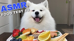 15M views · 319K reactions | Dog Reviewing Different Types of Food [Part 2] #ASMR | Maya Polar Bear | Facebook