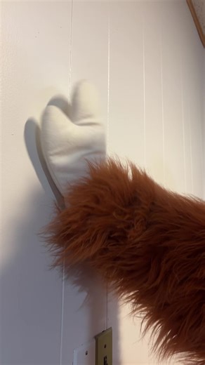 Late to the Dance Party in Ecuador