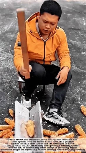 Simple Corn Shelling Tool That Saves Time and Effort! #shorts