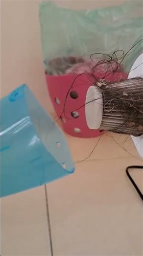 CapCutVoiceEffects #Shorts #fun