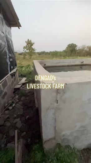 Dengad Farm on TikTok