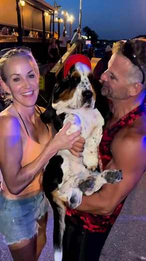 Lumpy the Bassethound on Instagram: "Dancing the night away with mom and dad #bassethoundofinstagram #lumpy #bassethound #bassethoundsofinstagram #bassethoundmoments #bassethound puppy #bassethounds #basset #bassetlove #bassethoundlove #bassethound life #bassetlife #bassetsofinstagram #nothingbetterthanabasset #bassetmania #bassethoundsofig #bassethoundoftheday #bassethoundcommunity #bassethoundworld #bassethoundadventures"