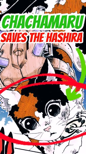 5.5K views · 110 reactions | The cat that saves Tanjiro and the other Hashira‼️ #demonslayer #kimetsunoyaiba | Anime TV | Facebook