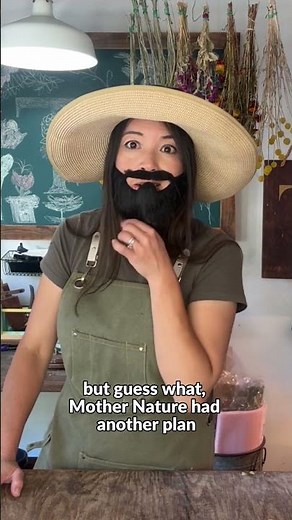 10 Unique Bearded Iris Varieties You Should Grow