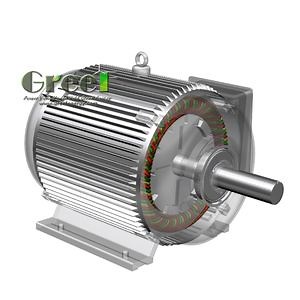 [Hot Item] 500rpm 20kw Motor Wind Low Rpm Radial Flux SKF Bearing Permanent Magnet Generator