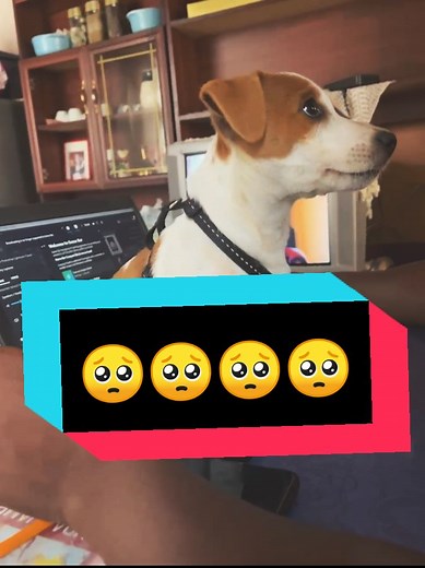 Barista_Comfort on TikTok