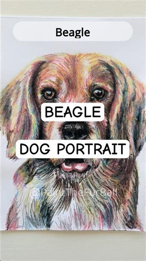 Hound Pet painting #petart