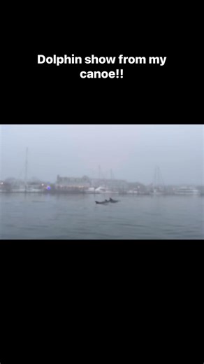20K views · 734 reactions | I went canoeing on a foggy day and caught one of the most amazing dolphin shows Ive seen. #barefootwade #dolphins #dolphinwatching #dolphinshow #beaufortnc #crystalcoastliving #crystalcoastnc #SOBX #IslandVibes #islandlife #haventwornshoesin25years #wildlife #wildlifephotography #foggyday #foggyviews #easternnorthcarolina #waterfrontliving | Barefoot Wade | Facebook