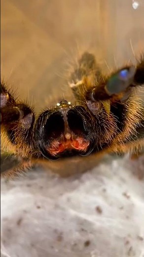 Why are you SOOOO MAD!!! 💀💀😱