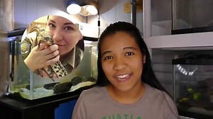 DiamondBack Terrapin Care Guide - All Turtles