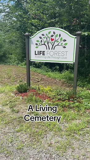 Plant your cremated remains with a beautiful tree to transform your ashes into a living memorial. 🌳 Life Forest is a conservation cemetery in Hillsborough, NH. Learn more about us on our website: https://buff.ly/3rRIgh6 #nature #lifeforest #conservationburial #treeburials #cemetery #cemeterytok #conservation #cemeteries #cremation #crematedremains #burialground